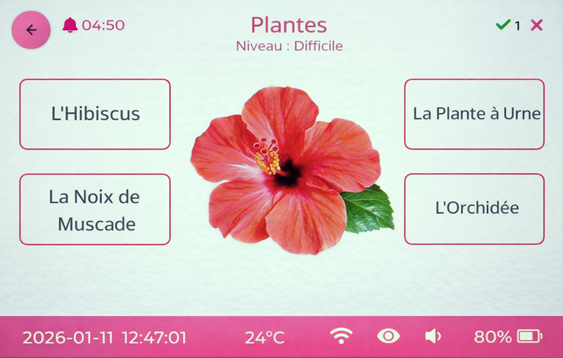 Quiz Plantes